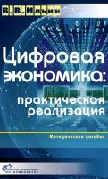 Ильин В.В. Цифровая экономика: практическая реализация : методическое пособие 