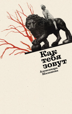 Шалашова А. Как тебя зовут : роман 